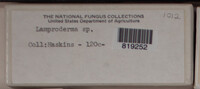 Image Associated With the Occurence